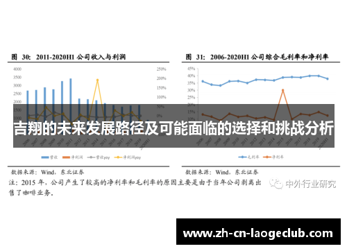 吉翔的未来发展路径及可能面临的选择和挑战分析 吉翔的未来发展路径及可能面临的选择和挑战分析