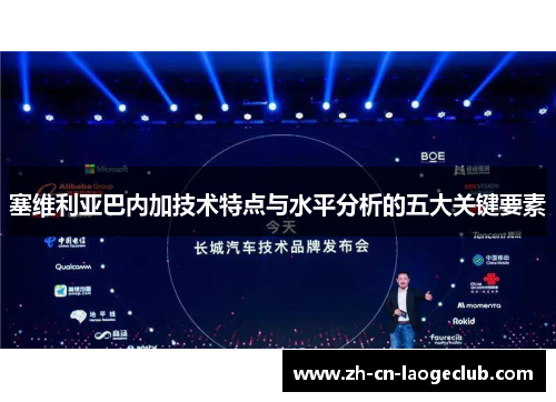 塞维利亚巴内加技术特点与水平分析的五大关键要素