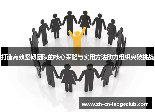 打造高效坚韧团队的核心策略与实用方法助力组织突破挑战