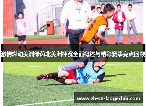 激情燃动美洲绿茵北美洲杯赛全面概述与精彩赛事亮点回顾 激情燃动美洲绿茵北美洲杯赛全面概述与精彩赛事亮点回顾