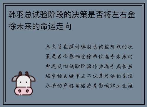 韩羽总试验阶段的决策是否将左右金徐未来的命运走向